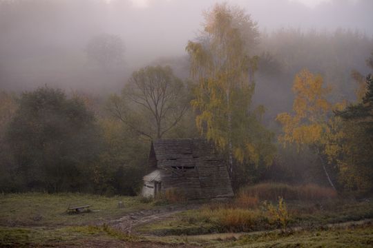 Siennica Różana. Fotografie w kolorze jesieni nagrodzone