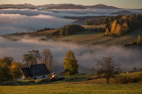 Siennica Różana. Fotografie w kolorze jesieni nagrodzone