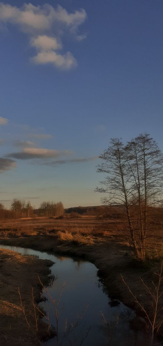 Siennica Różana. Fotografie w kolorze jesieni nagrodzone