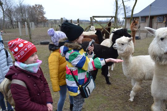 Dwa tygodnie z gorzkowskim Centrum Społeczno – Kulturalnym