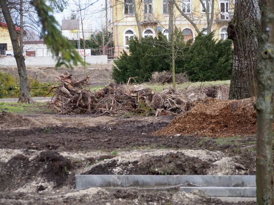 Zamieszania z rewitalizacją Parku Miejskiego w Chełmie ciąg dalszy