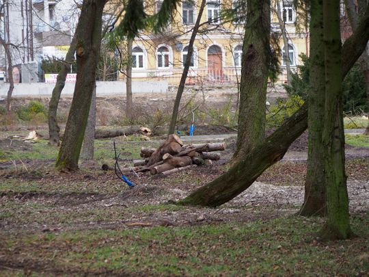 Zamieszania z rewitalizacją Parku Miejskiego w Chełmie ciąg dalszy