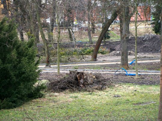 Zamieszania z rewitalizacją Parku Miejskiego w Chełmie ciąg dalszy