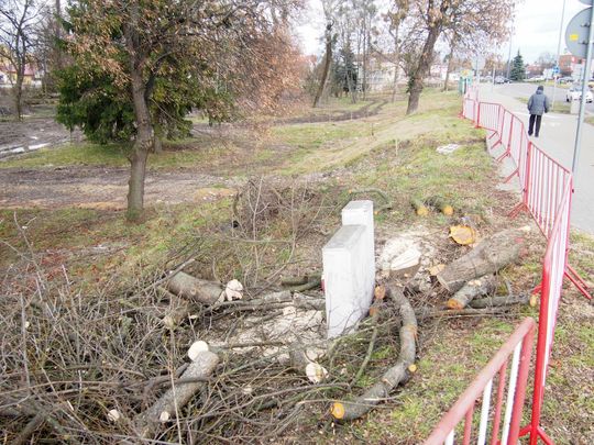 Zamieszania z rewitalizacją Parku Miejskiego w Chełmie ciąg dalszy