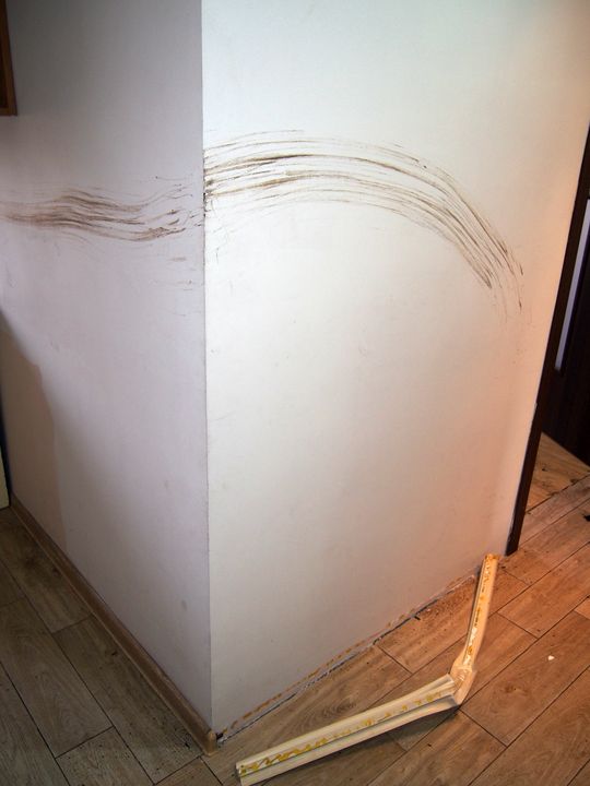 Chełm. Nie chciał oddać kaucji, więc zdewastowali mieszkanie