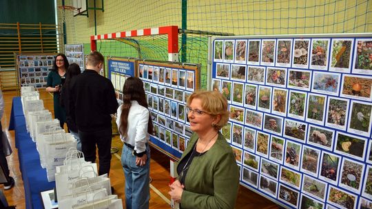 Gmina Siennica Różana. Przez zdjęcia do rekrutacji