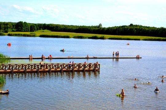 Dębowy Las Dębowy Las