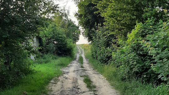 Po konsultacjach z wykonawcą nawierzchnia ma być wykonana z płyt betonowych