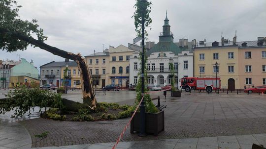 Krasnystaw. Nawałnica powaliła drzewo w miejskim rynku