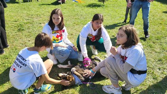 Chełm. Psi piknik przed biblioteką. PsyWitanie Jesieni 2023