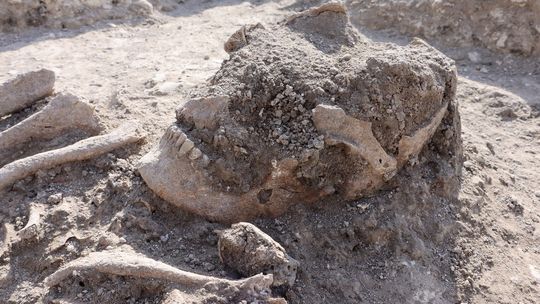 Znaleźli szkielety na terenie byłego PKS-u
