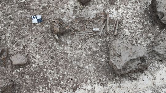Szkielet 7-letniego dziecka w Srebrzyszczu. Zaskakujące odkrycie archeologów! [ZDJĘCIA]