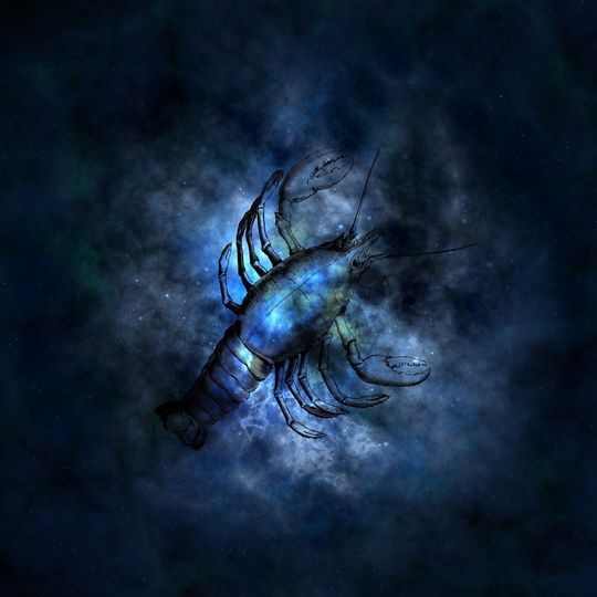 RAK (22 czerwca - 22 lipca) RAK (22 czerwca - 22 lipca)