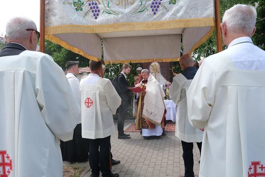 Chełm. Boże Ciało 2024. Procesja przeszła ulicami miasta [GALERIA ZDJĘĆ]