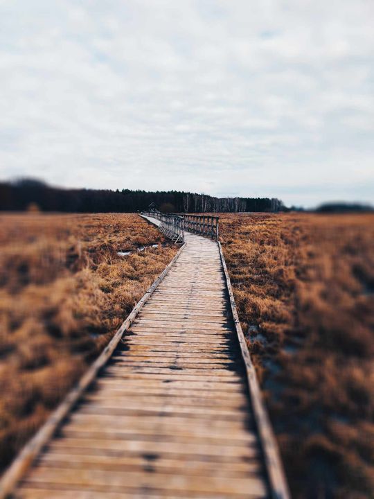 Poleski Park Narodowy- Ścieżka Czahary