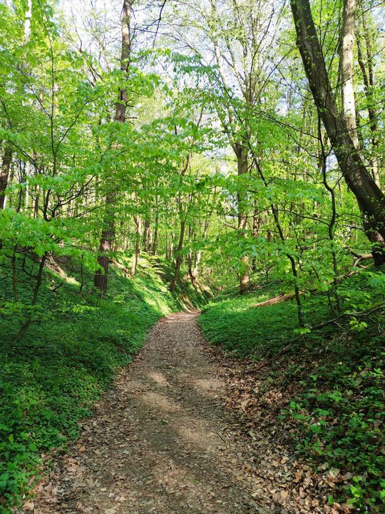 Skierbieszowski Park Krajobrazowy