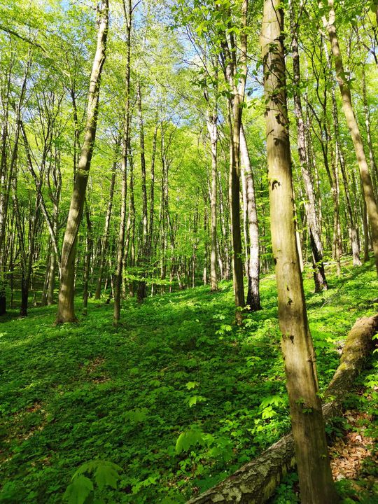 Skierbieszowski Park Krajobrazowy