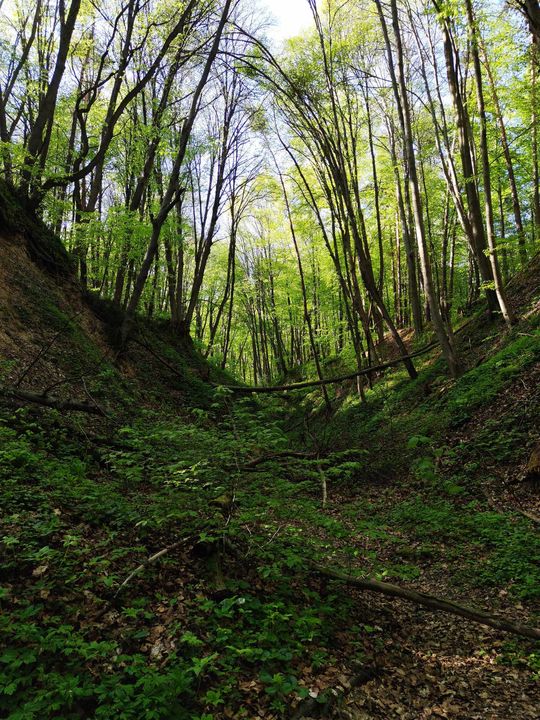 Skierbieszowski Park Krajobrazowy