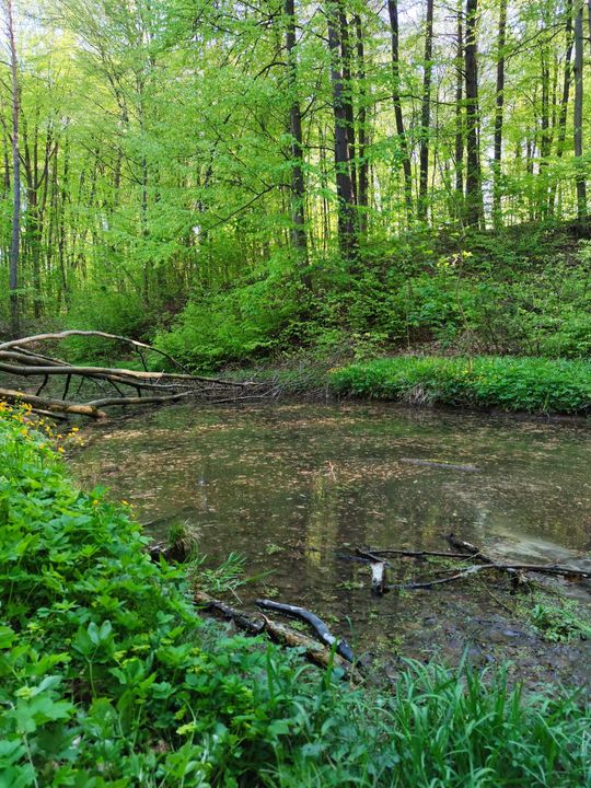 Skierbieszowski Park Krajobrazowy