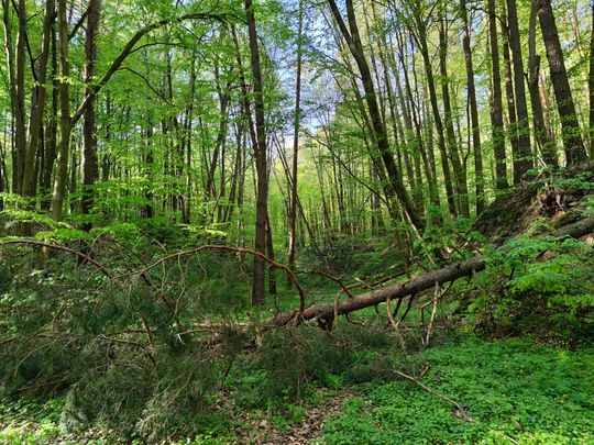 Skierbieszowski Park Krajobrazowy