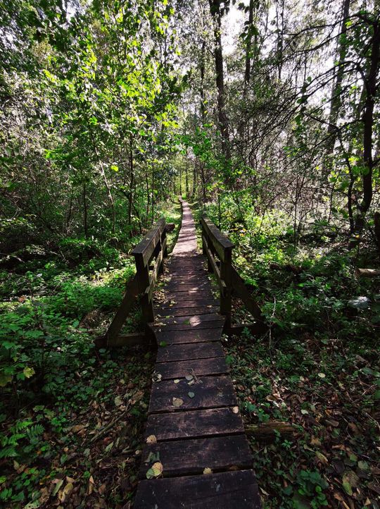 Poleski Park Narodowy- Ścieżka Spławy