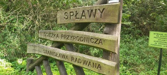 Poleski Park Narodowy- Ścieżka Spławy