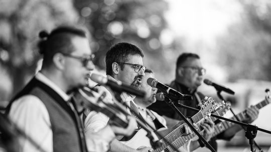 Gm. Chełm. Udane święto pszczoły w Okszowie cz. II [GALERIA ZDJĘĆ]