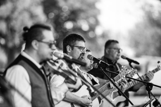 Gm. Chełm. Udane święto pszczoły w Okszowie cz. II [GALERIA ZDJĘĆ]