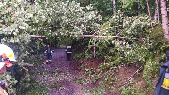 Region. Krajobraz po burzy. Znów powalone drzewa i zalane ulice [ZDJĘCIA]