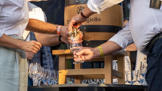 Trwają Dni Chełma 2024 [GALERIA ZDJĘĆ]