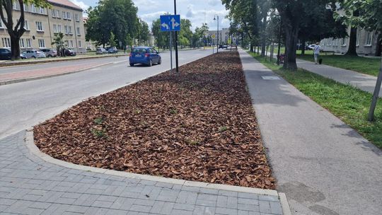 Chełm. Przy al. Piłsudskiego w końcu porządek!