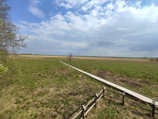 Poleski Park Narodowy