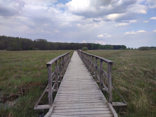 Poleski Park Narodowy