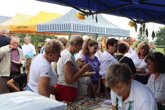 Gm. Chełm. Trwa Piknik Rodzinny z okazji Dni Okszowa [GALERIA ZDJĘĆ]