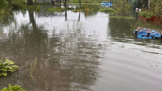 Chełm. Działkowcy stracili plony [ZDJĘCIA]