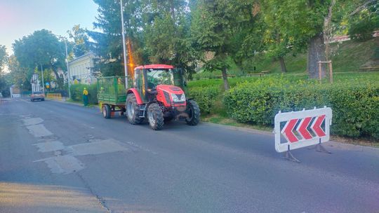 Chełm. Zobacz, jak pracownicy miejskiej spółki upiększają miasto...