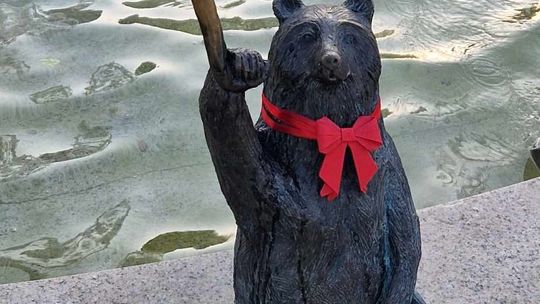 Chełmskie misie poczerwieniały!