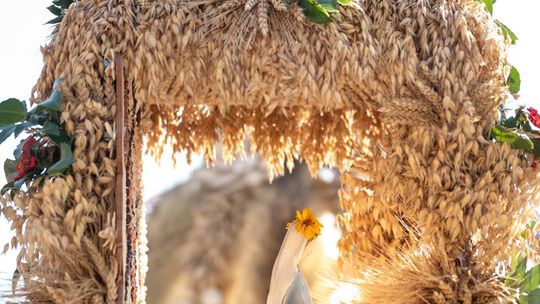 Nasi na Dożynkach Województwa Lubelskiego 2024 w Radawcu Dużym [GALERIA ZDJĘĆ]