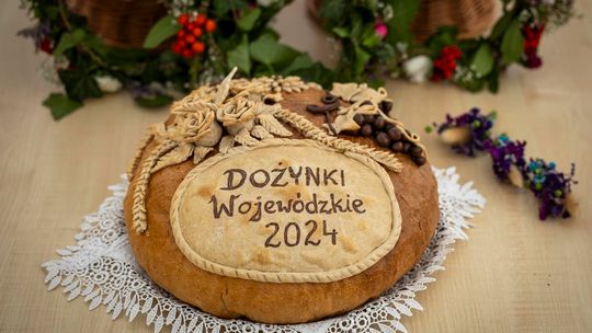 Nasi na Dożynkach Województwa Lubelskiego 2024 w Radawcu Dużym [GALERIA ZDJĘĆ]