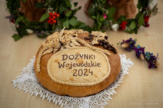 Nasi na Dożynkach Województwa Lubelskiego 2024 w Radawcu Dużym [GALERIA ZDJĘĆ]