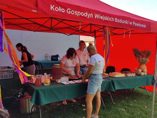 Powiatowe Święto Ziemniaka w Pawłowie [GALERIA ZDJĘĆ]