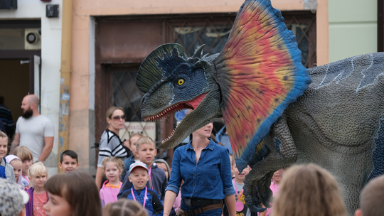 Dzień Sportu w Chełmie. Były nawet dinozaury... [GALERIA ZDJĘĆ]