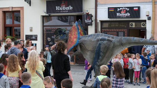 Dzień Sportu w Chełmie. Były nawet dinozaury... [GALERIA ZDJĘĆ]