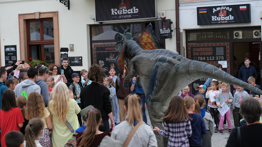 Dzień Sportu w Chełmie. Były nawet dinozaury... [GALERIA ZDJĘĆ]