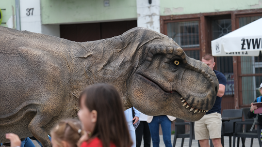 Dzień Sportu w Chełmie. Były nawet dinozaury... [GALERIA ZDJĘĆ]