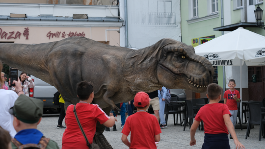 Dzień Sportu w Chełmie. Były nawet dinozaury... [GALERIA ZDJĘĆ]