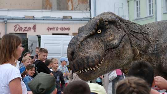 Dzień Sportu w Chełmie. Były nawet dinozaury... [GALERIA ZDJĘĆ]