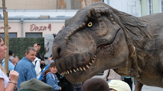 Dzień Sportu w Chełmie. Były nawet dinozaury... [GALERIA ZDJĘĆ]