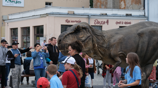 Dzień Sportu w Chełmie. Były nawet dinozaury... [GALERIA ZDJĘĆ]