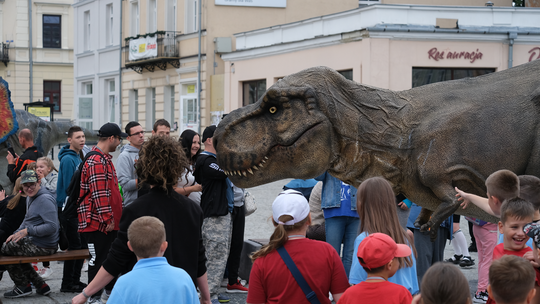 Dzień Sportu w Chełmie. Były nawet dinozaury... [GALERIA ZDJĘĆ]